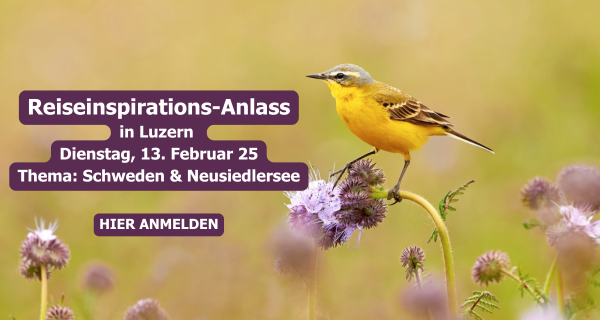 Reiseinspirations-Anlass in Luzern Donnerstag, 13. Februar 25